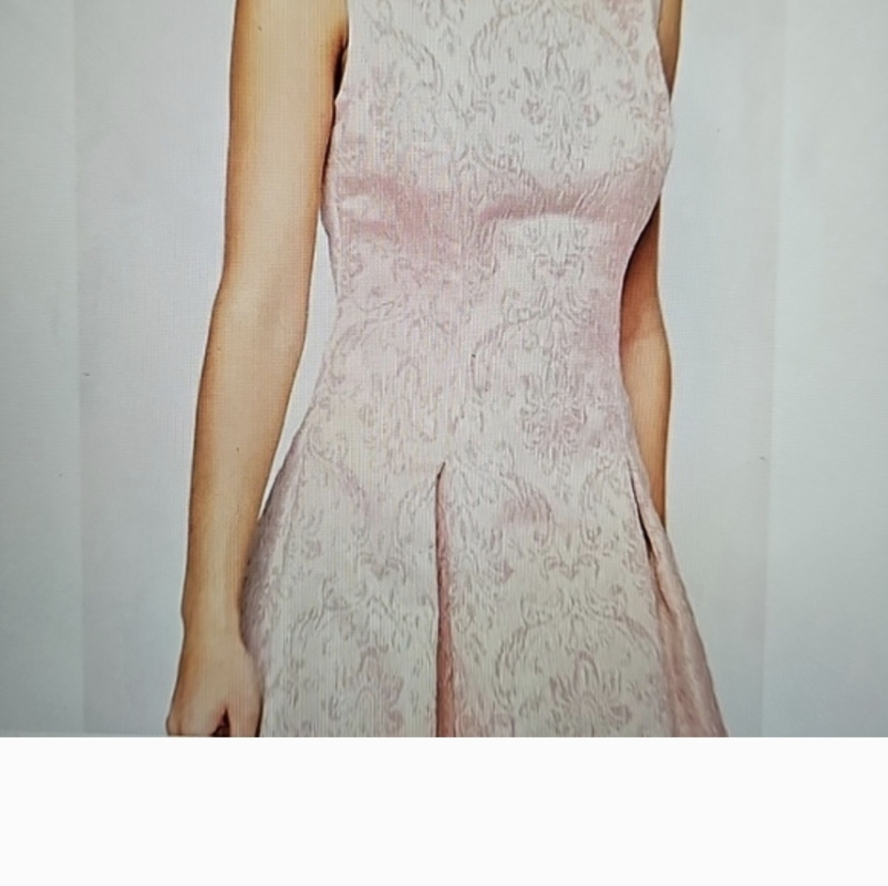 Ted Baker Blush Lace Fit & Flare Dress